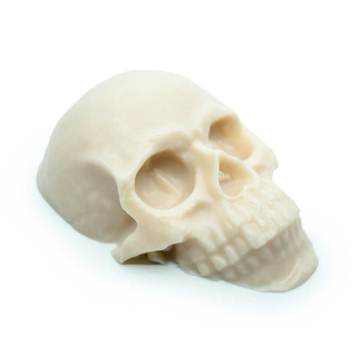 Reelskin - Synthetic Tattooable Skull